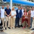Modernización energética del Club Natación Metropole: hacia un deporte más sostenible en Canarias